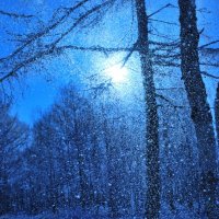 снегопад :: Ирина Мозерова