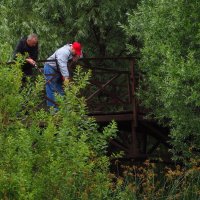 Тандем :: Андрей Лукьянов