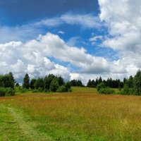 Летний пейзаж :: Милешкин Владимир Алексеевич 