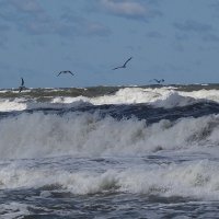 Неспокойно Балтийское море... :: Маргарита Батырева