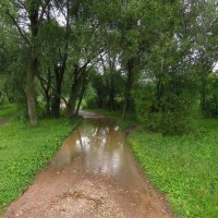 Вариации на тему прошедшего дождя :: Андрей Лукьянов