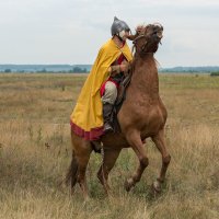 В дозоре. :: Анатолий Сидоренков