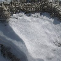 Городской снег в ожидании весны :: Syntaxist (Светлана)