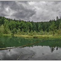 На Мертвом озере... :: Юрий Гординский