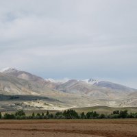 горы близ Курая :: nataly-teplyakov 