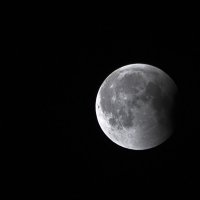 Лунное затмение 2:00 :: Ефим Журбин