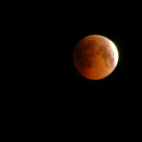 Кроваво красное лунное затмение :: Юрий Захаров