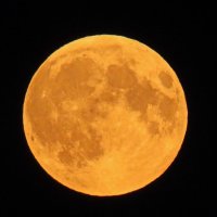 Луна до начала затмения :: leoligra 