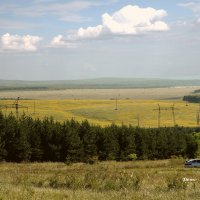 Август в поле. :: Анатолий Уткин