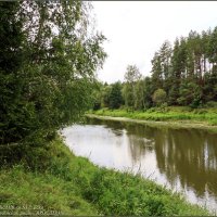река Которосль-"ЯРОСЛАВИЯ" :: Владимир ( Vovan50Nestor )
