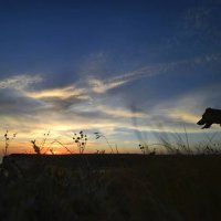 Утренний мечтатель... Мыс Тарханкут... Morning dreamer... Cape Tarhankut... :: Сергей Леонтьев