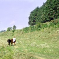 "Одинокий пастух" :: Ростислав Кухарук