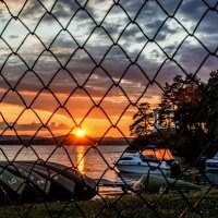 Beautiful sunset behind the fence :: Dmitry Ozersky