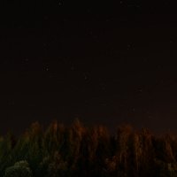 Ночное небо :: Елена Волгина