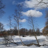 Зима в парке :: Евгений Пермяков