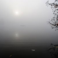 В тумане :: Валерий К. 
