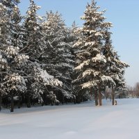 Зима, Рекшино, Нижегородской области :: Сергей 