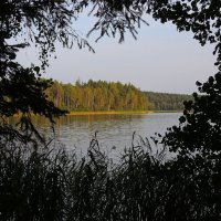 Озеро :: Александр Сапунов