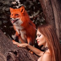 Рыжая лисица :: Анита Гавриш