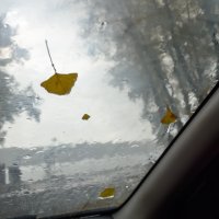 Осенний дождь :: Валерий Михмель 
