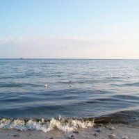 Черное море в августе... :: Любовь К.