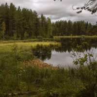 *** :: Анжела Пасечник