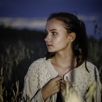 Закат в поле :: Татьяна Шураватова