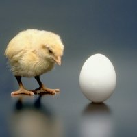 Курица яйцо :: Светлана Вишня