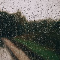 Капли дождя :: Александр Ребров