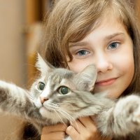 Девочка и кот :: Руслан Веселов