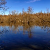 Осень :: Виталий Буркалов