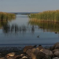 В створе :: Владимир Гилясев