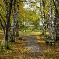 «Осень в парке» :: Александр Гладких