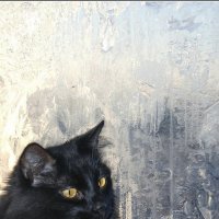 Котик грустит у окна, а за окном Зима..... :: Игорь Корф