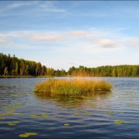 Островок... :: Елена Швецова