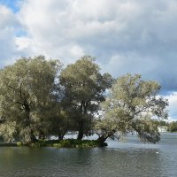 Серебрянные сестры :: Николай Танаев