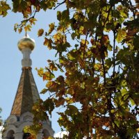 Вид на купол Покровского собора. :: Наталья Каракуца