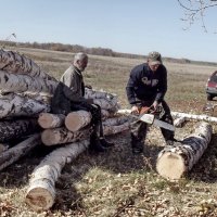 Заготовка дров :: Светлана Рябова-Шатунова