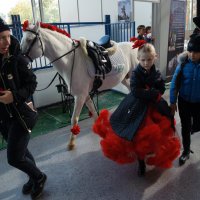 Эквирос :: Сергей Золотавин