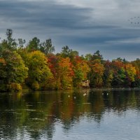 Осень на Белом озере :: Владимир Колесников