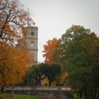 Снова осень :: Евгения Кирильченко