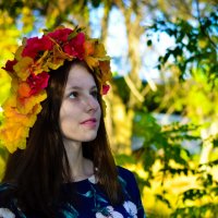 Осень :: Дарья Левина