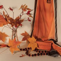 Осень в оттенках янтаря :: Наталья Кузнецова
