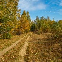 Тёплый октябрь 3 :: Андрей Дворников