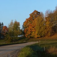 Осень :: juris Slesars