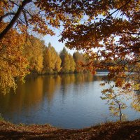 Осенняя картина в обрамлении рыжих листьев :: Татьяна Георгиевна 