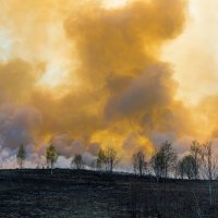 Лесной пожар. :: Владимир Лазарев