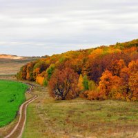 Осень в Саратовской области :: Оксана Полякова