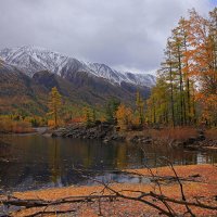 Осень в Восточных Саянах :: Владимир Собардахов