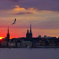 Стокгольм на закате. :: Ирэна Мазакина